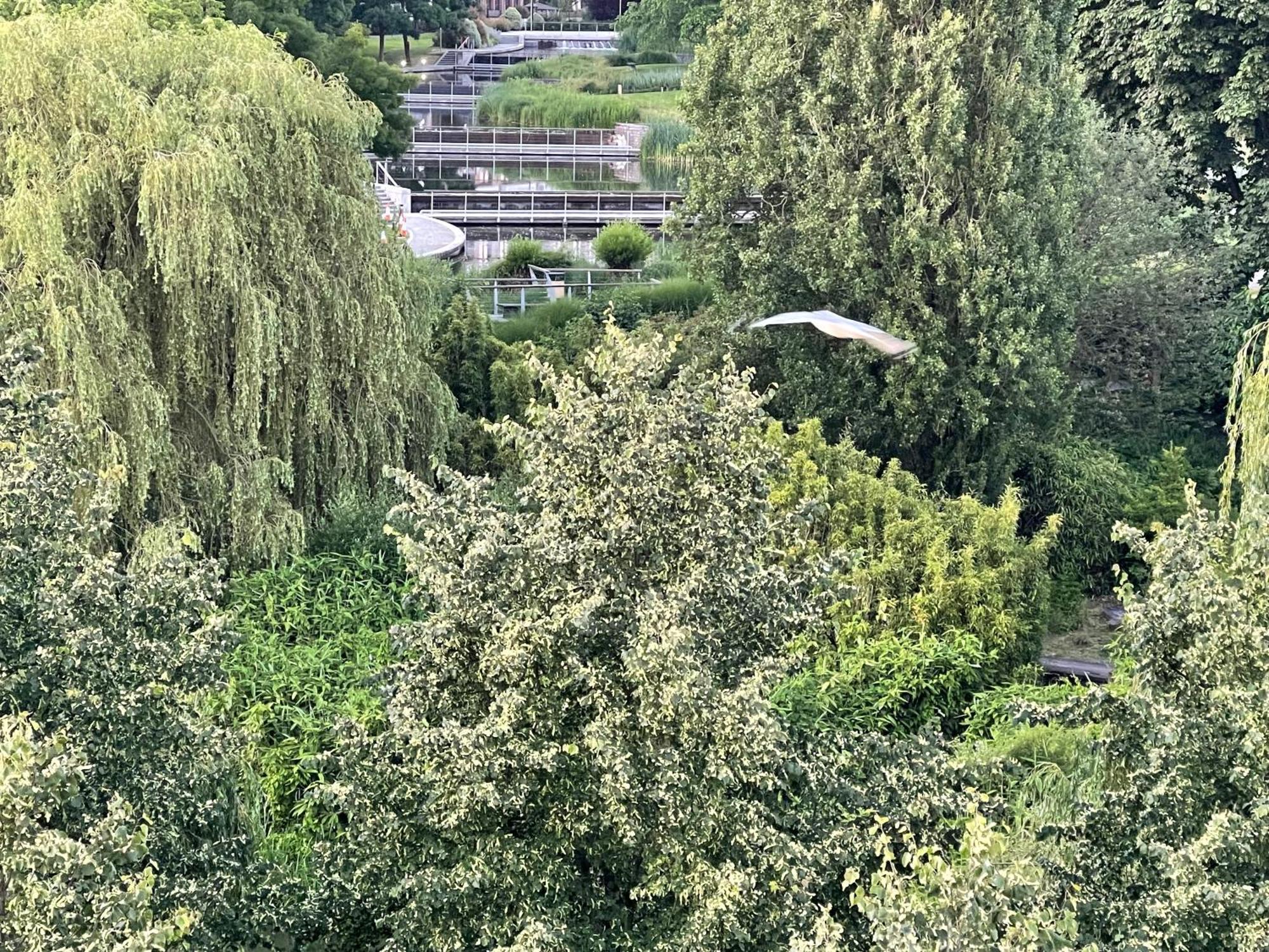 Luxury 2 Bedroom Apartment- Lake View - Free Parking - Wembley Stadium 5Km ロンドン エクステリア 写真